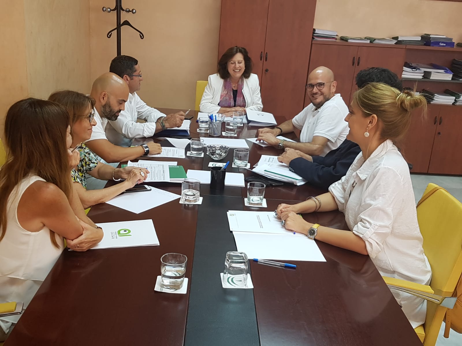 Reunión de Andalucía Inclusiva Cocemfe con la Consejera de Igualdad y políticas Sociales