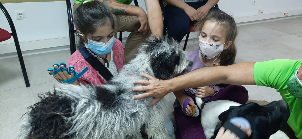 Terapia asistida con animales. Cocemfe Huelva.