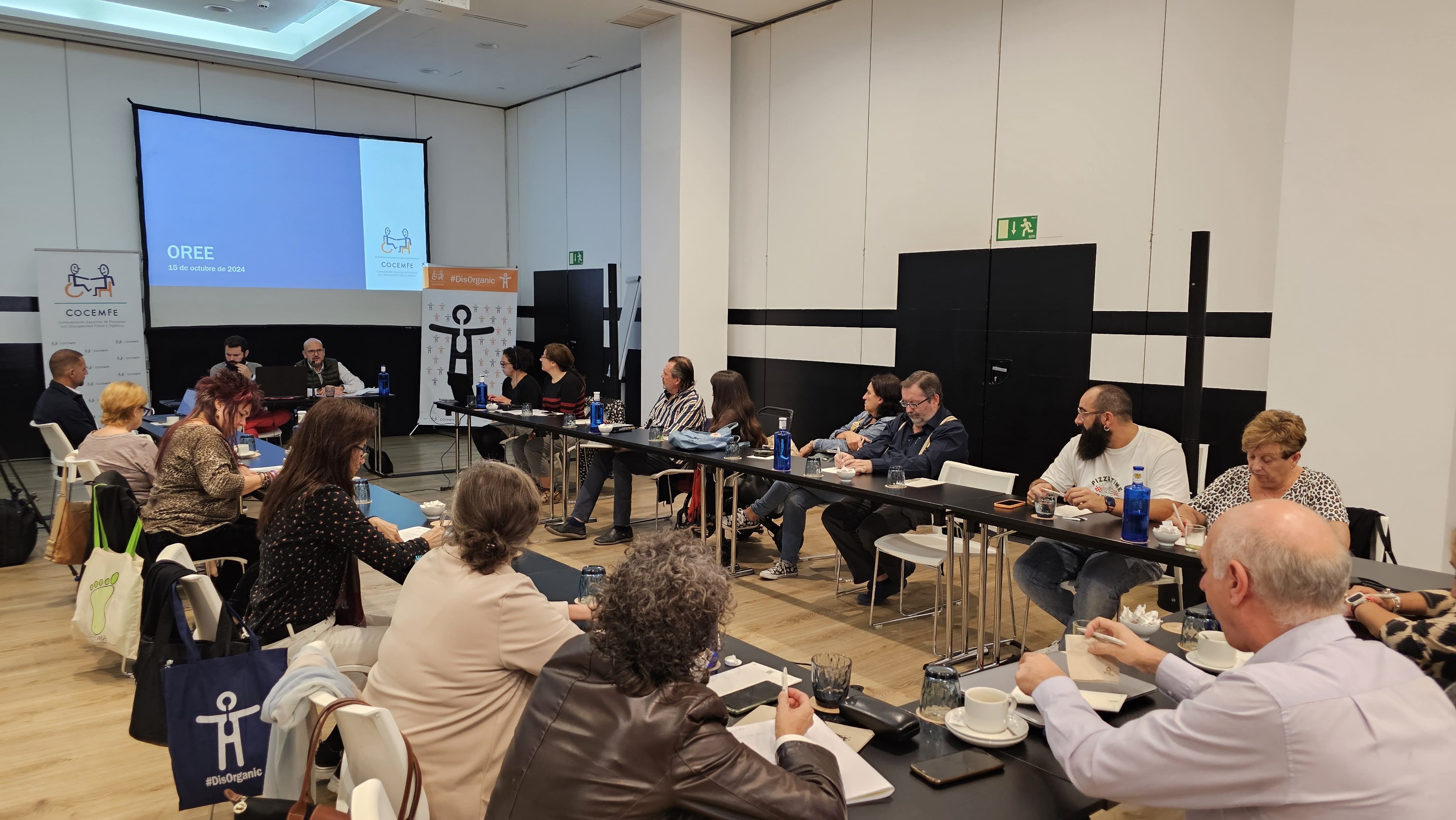 COCEMFE reclama financiación para poder seguir promoviendo la inclusión de las personas con discapacidad