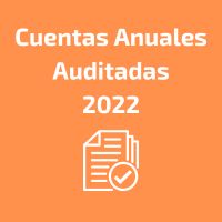 cuentas anuales auditadas 2022