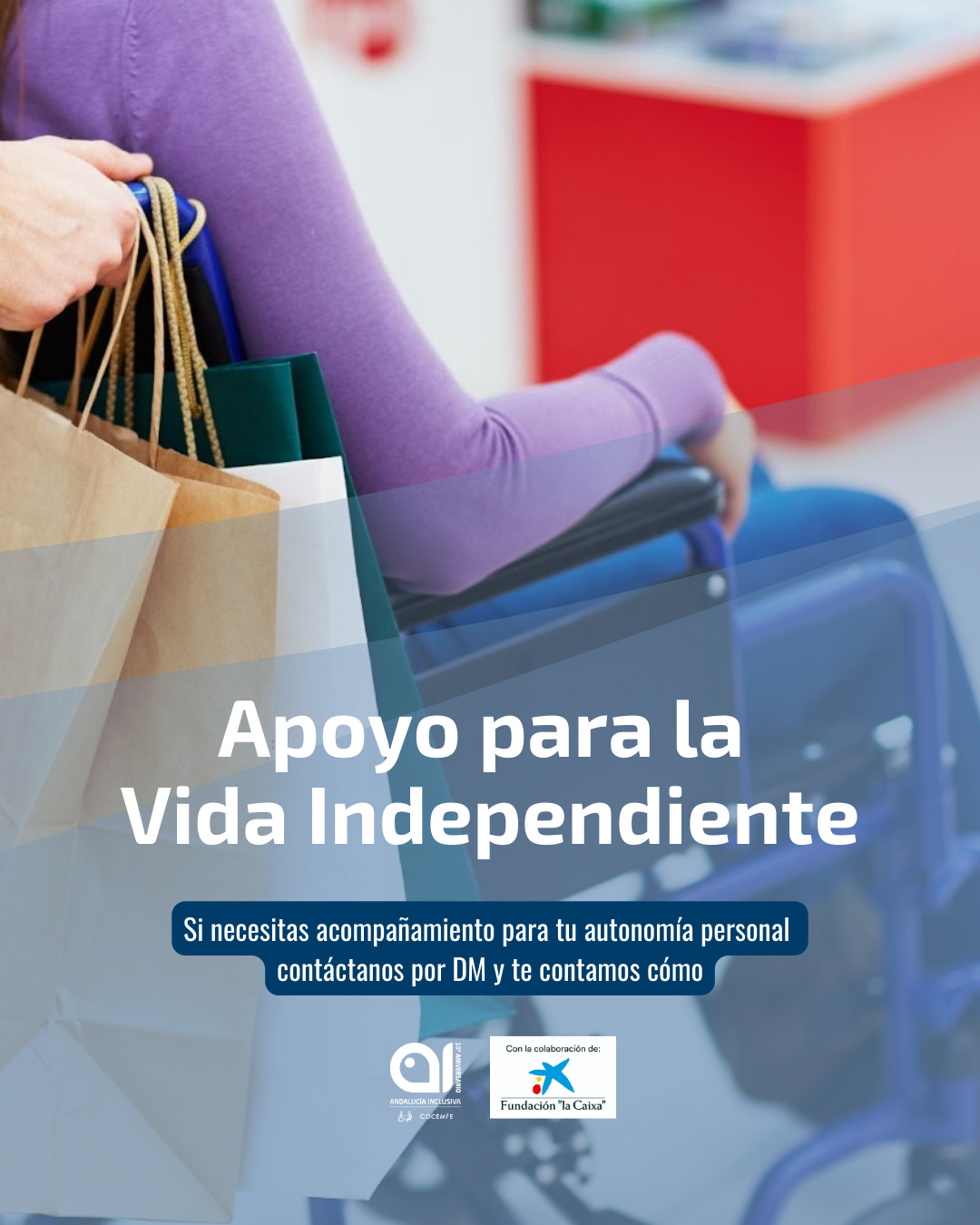 Apoyo para la vida independiente a personas con discapacidad física del Aljarafe