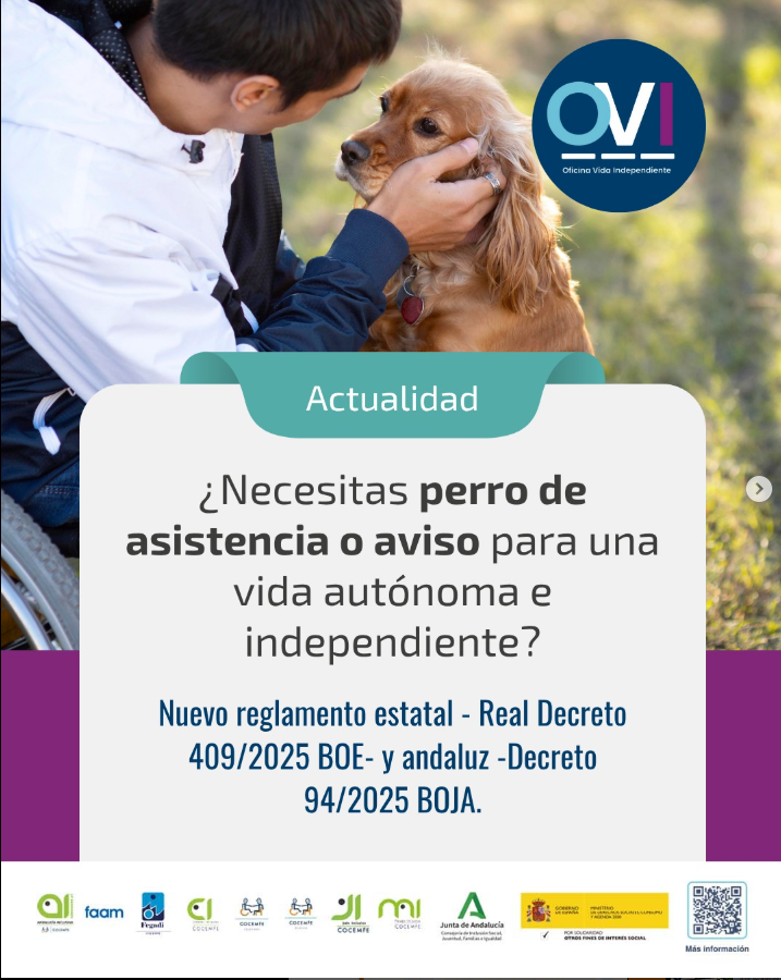 Necesitas perro de asistencia o aviso para una vida autónoma e independiente?