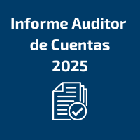 cuentas anuales auditadas 2022