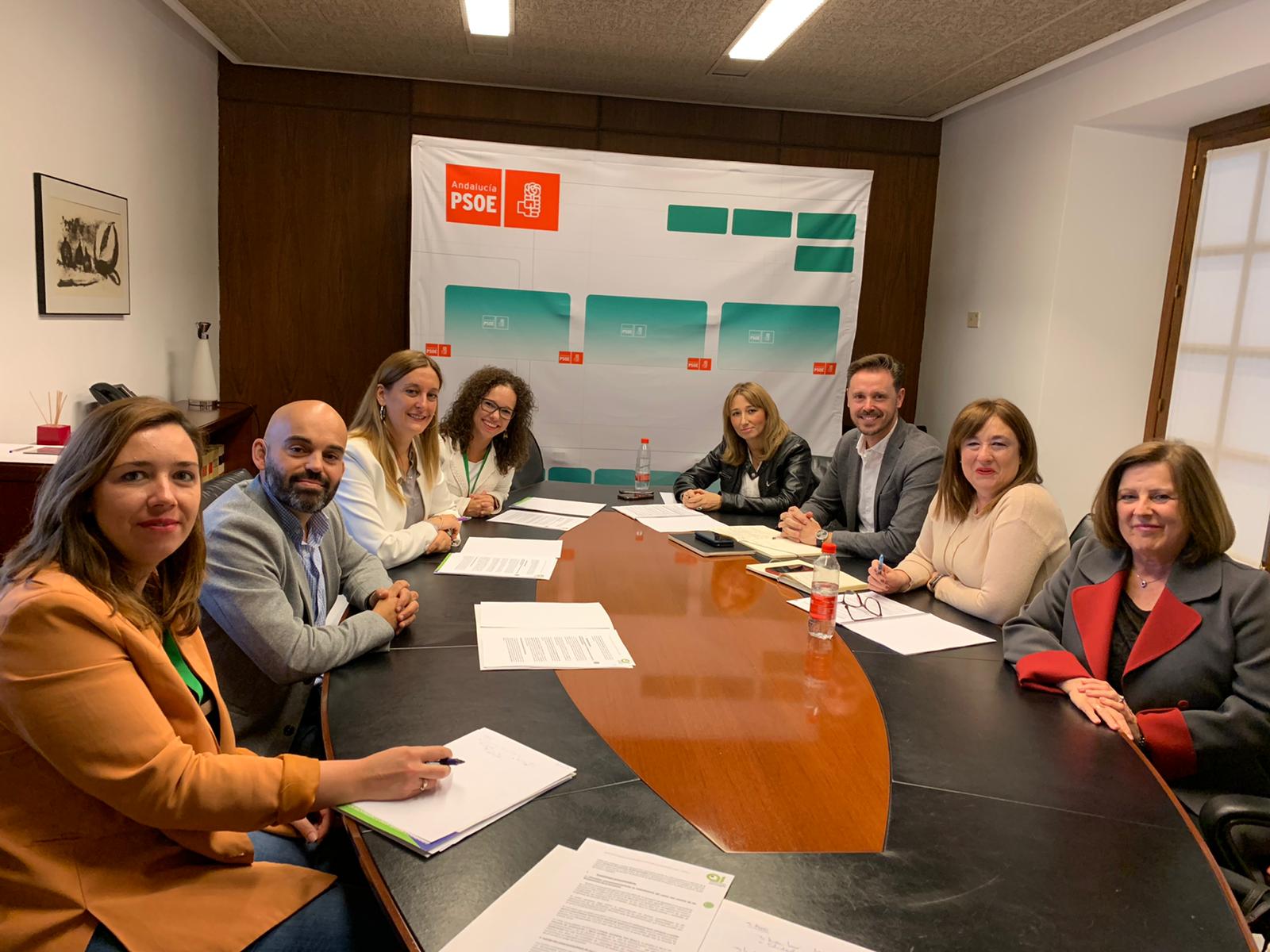 Andalucía Inclusiva Cocemfe se reúne en el Parlamento Andaluz con los grupos políticos para presentar sus principales reivindicaciones y líneas de actuación en Discapacidad .