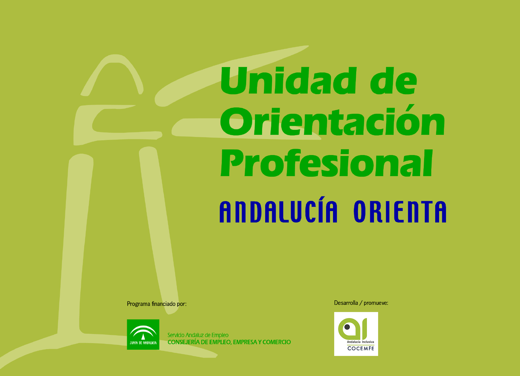 Andalucía Inclusiva Cocemfe, Desarrolla el Programa de Andalucía Orienta